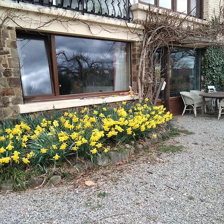 Dinant La Bergeronnette Avec La Chaleur Du Feu De Bois Et Le Jardin Villa Exterior photo
