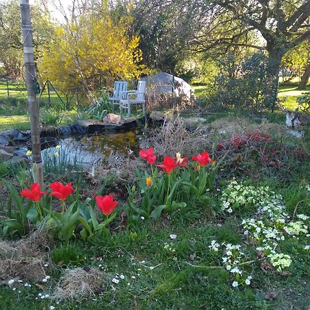 Dinant La Bergeronnette Avec La Chaleur Du Feu De Bois Et Le Jardin Villa Room photo