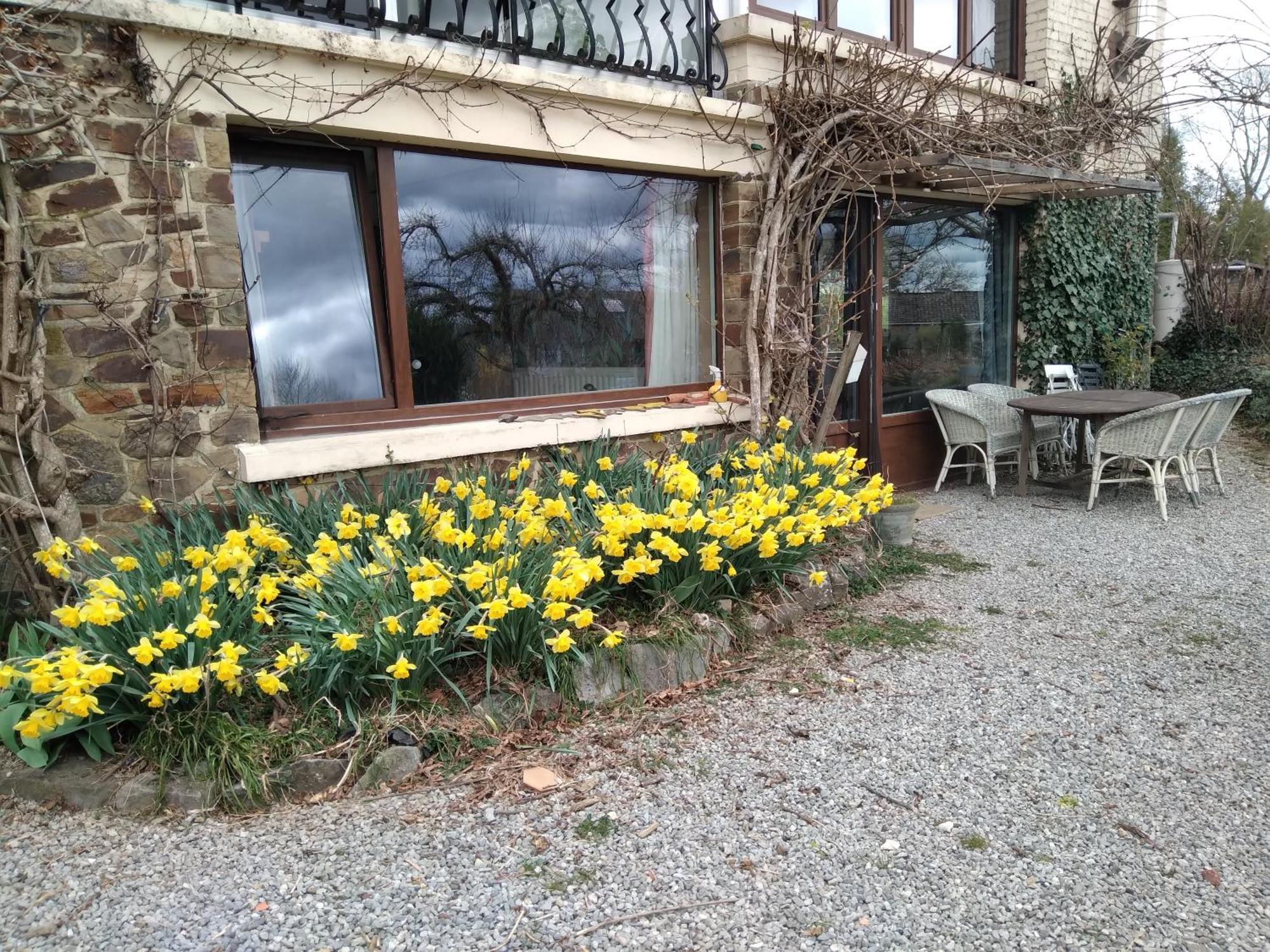 Dinant La Bergeronnette Avec La Chaleur Du Feu De Bois Et Le Jardin Villa Exterior photo