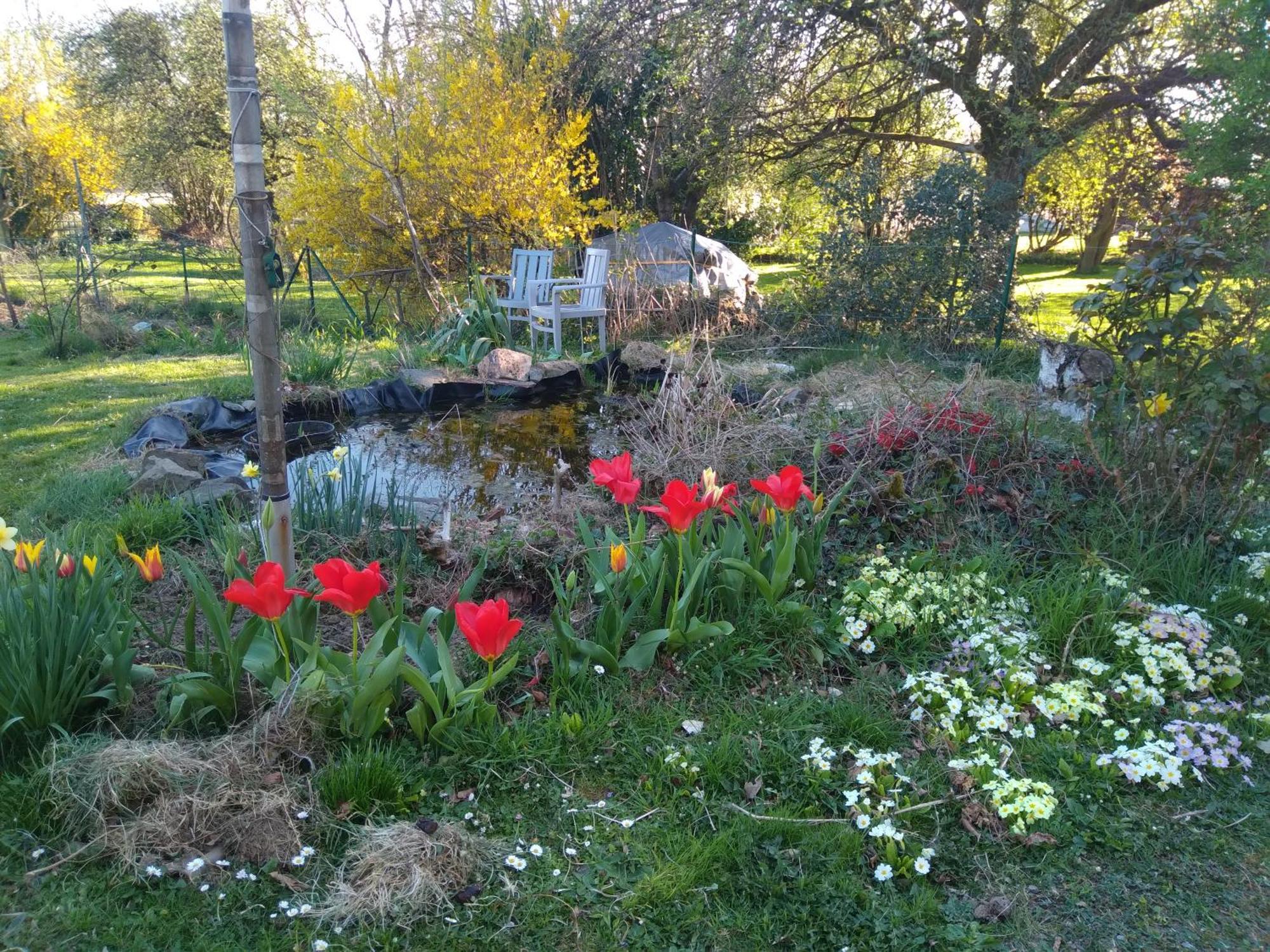 Dinant La Bergeronnette Avec La Chaleur Du Feu De Bois Et Le Jardin Villa Room photo